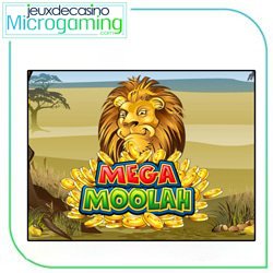 theme machine sous mega moolah